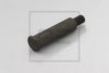 PE Automotive 013.196-00A Bolt